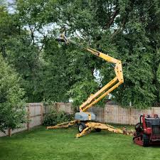 Best Sod Installation  in Magnolia, OH